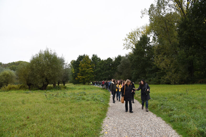 People walk along a gravel path. The path is surrounded by meadows and trees.