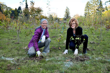 Die betreuenden Professorinnen pflanzen zwei Bäume auf dem Gelände der Baumpflanzaktion "ErstTrees".