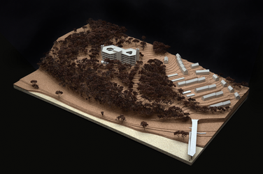 The architectural model shows the building design and several smaller structures in a wooded, topographically modeled landscape. Staggered heights and paths are clearly visible.