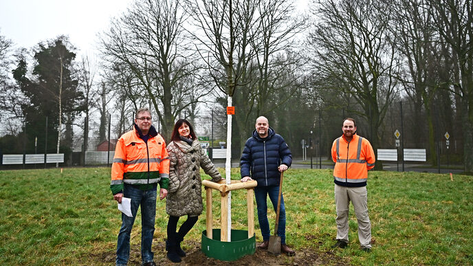 Vier Personen stehen um einen neu gepflanzten Baum.