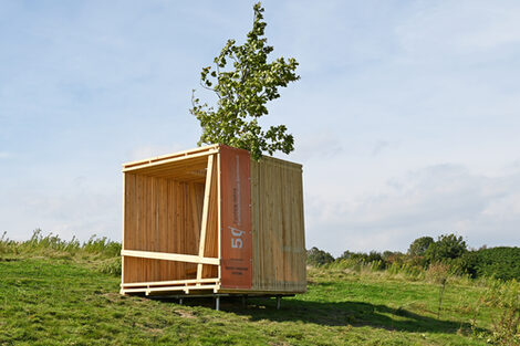 Ein Holzwürfel zum Sitzen steht auf einer Wiese. In der Mitte des Würfels wächst ein Baum.