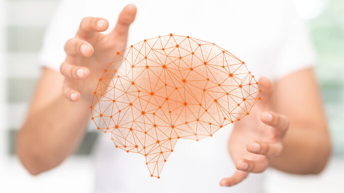 A person holding a virtual orange brain in between her hands, which looks like a network. __ A person holding a virtual orange brain in between her hands, which looks like a network.