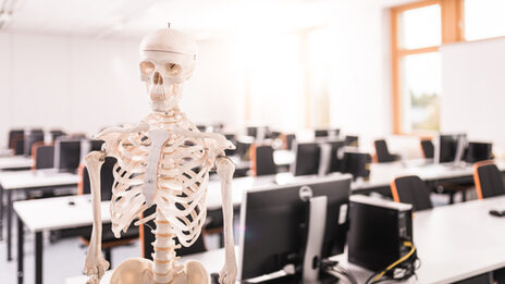 Photo of an artificial skeleton on a stand that can be seen up to the hip. In the background is the medical informatics computer room.