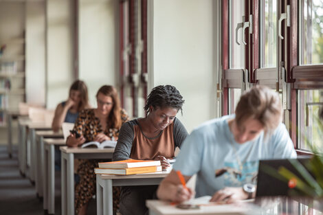 Photo of students studying at individual workstations in the library.