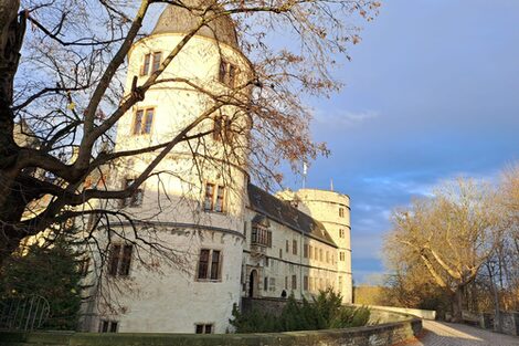 Bild der Wewelsburg