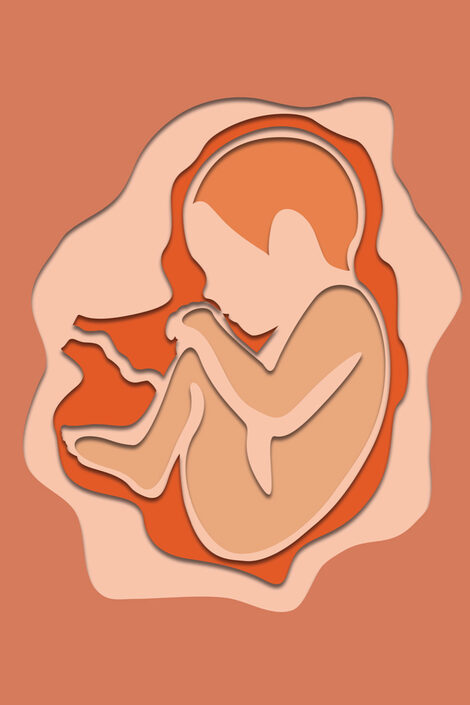 Simplified illustration of a baby in its mother's womb