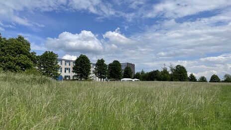 Im Vordergrund ist eine ist eine Wiese zu sehen, weiter hinten stehen FH-Gebäude.