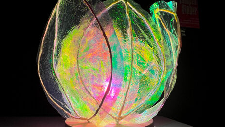 Eine blütenförmige Lampe leuchtet, umgeben von Dunkelheit.