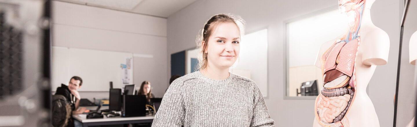 Foto einer Studentin an einem Rechnerarbeitsplatz, neben ihr auf dem Tisch steht ein Anatomiemodell.