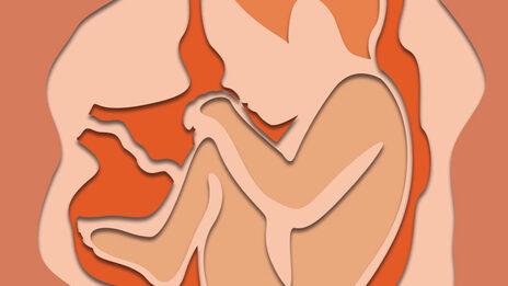 Simplified illustration of a baby in its mother's womb