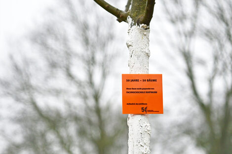 A sign with the inscription 50 years - 50 trees hangs on a young tree trunk.